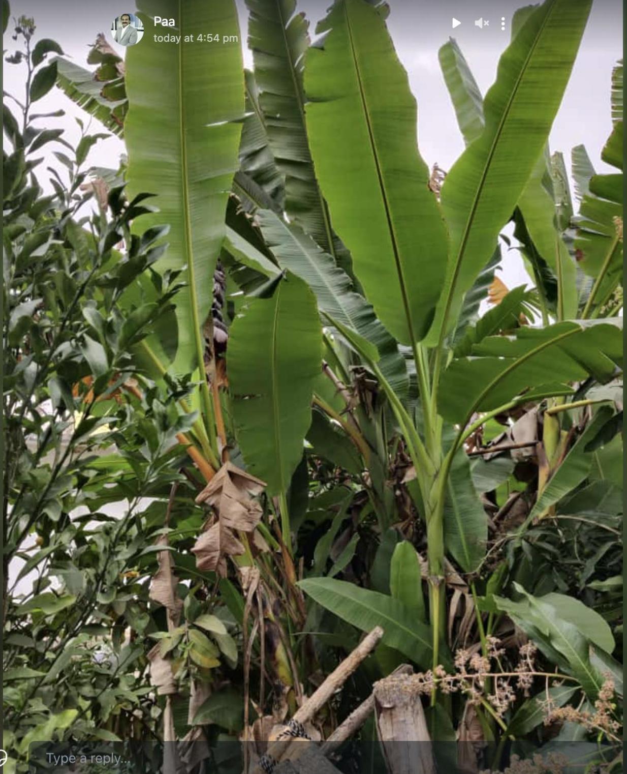 Anjani Farms Villa Nagpur Exterior photo