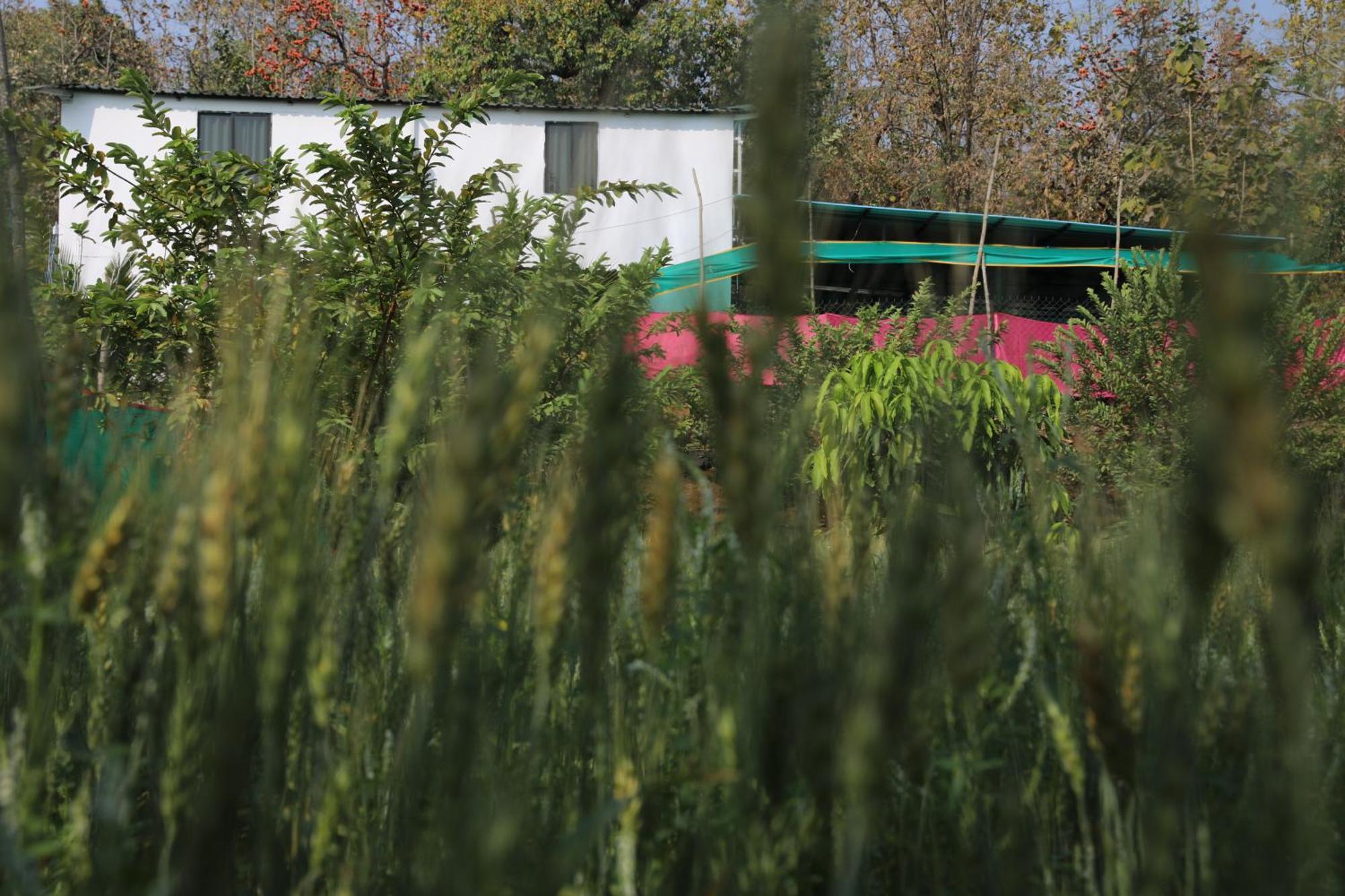 Anjani Farms Villa Nagpur Exterior photo